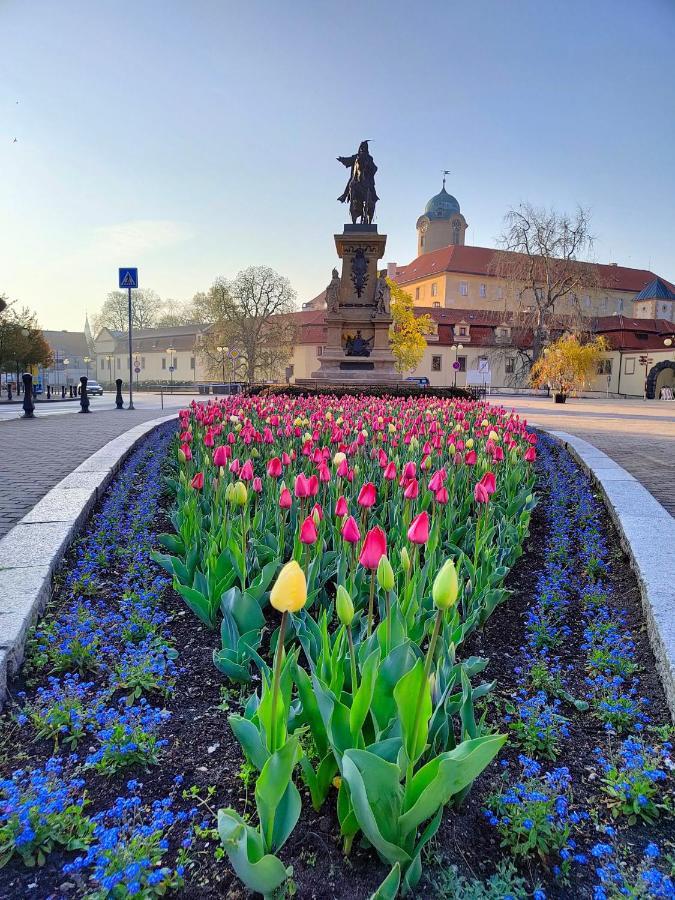 Homestay Podebrady Exterior photo
