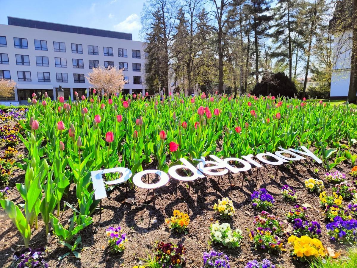 Homestay Podebrady Exterior photo