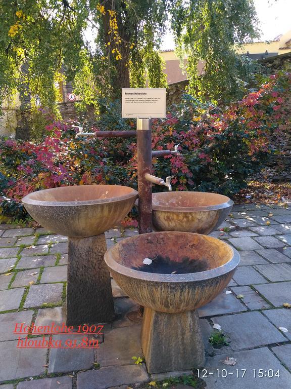 Homestay Podebrady Exterior photo